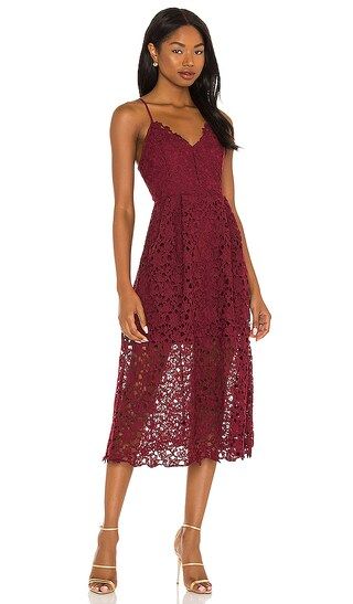 Lace A Line Midi Dress in Wine | Revolve Clothing (Global)