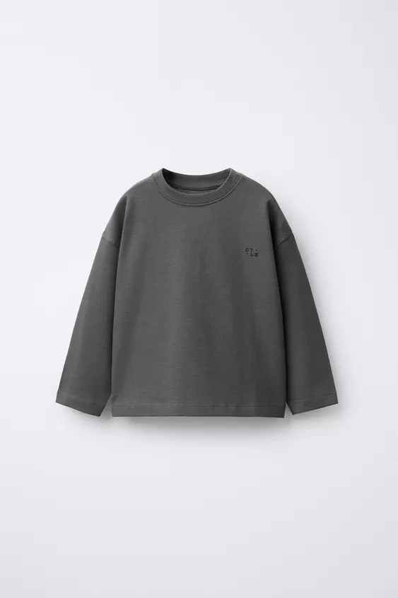 HEAVYWEIGHT T-SHIRT MIT STICKEREI | Zara DE