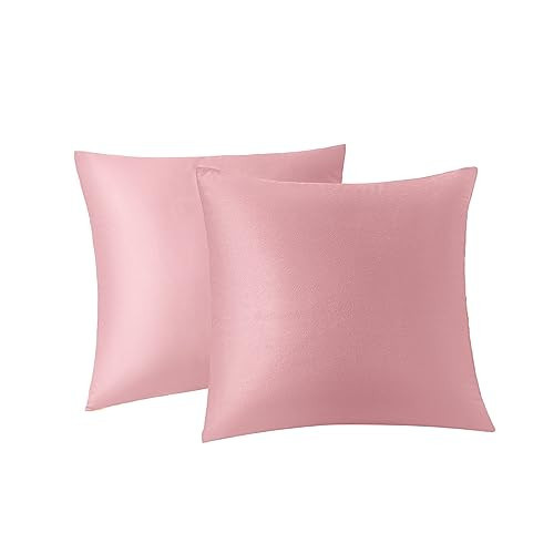 RainRoad Pink Throw Pillows Covers Set of 2 Soft Velvet Decorative Pillow Covers 20x20 Inch for Couch Bed(Pink, 20" x 20"(Pack of 2)) | Amazon (US)