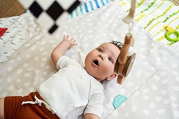 LOVEVERY | The Play Gym | Award Winning For Baby , Stage-Based Developmental Activity Gym & Play ... | Amazon (US)