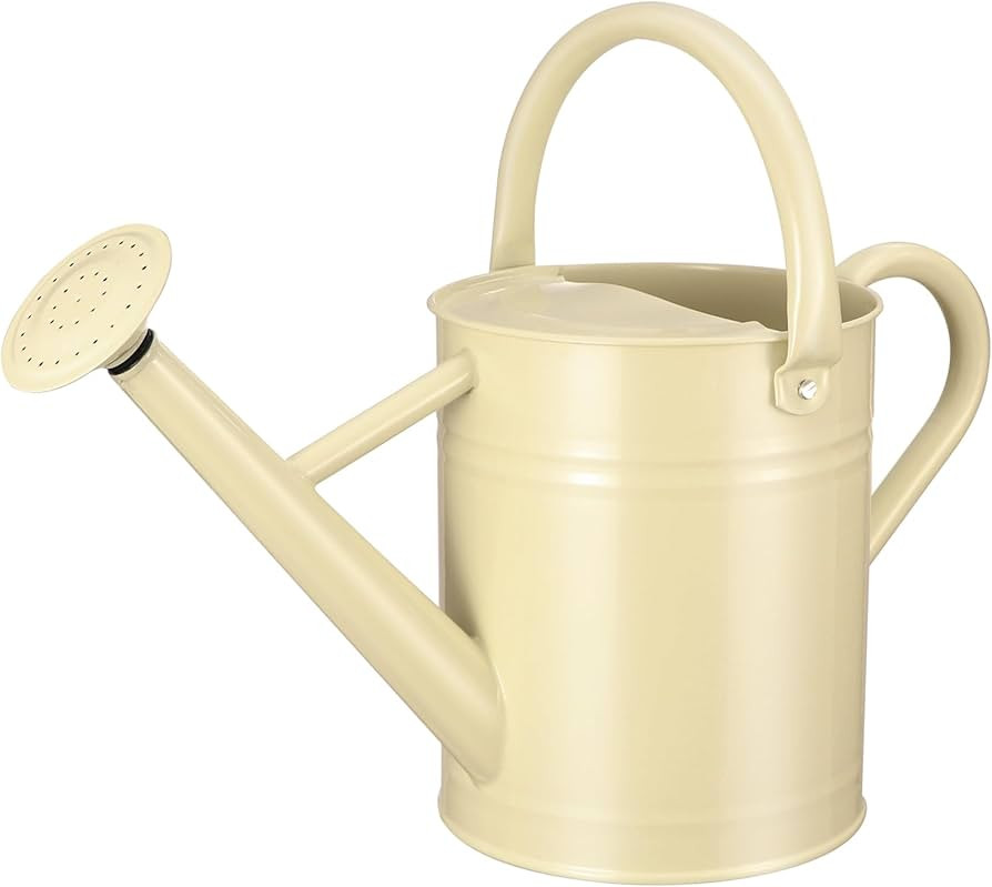 Watering Can for Outdoor Plants&Indoor Plants,Plant Watering Can 1 Gallon,Metal Flower Garden Wat... | Amazon (US)