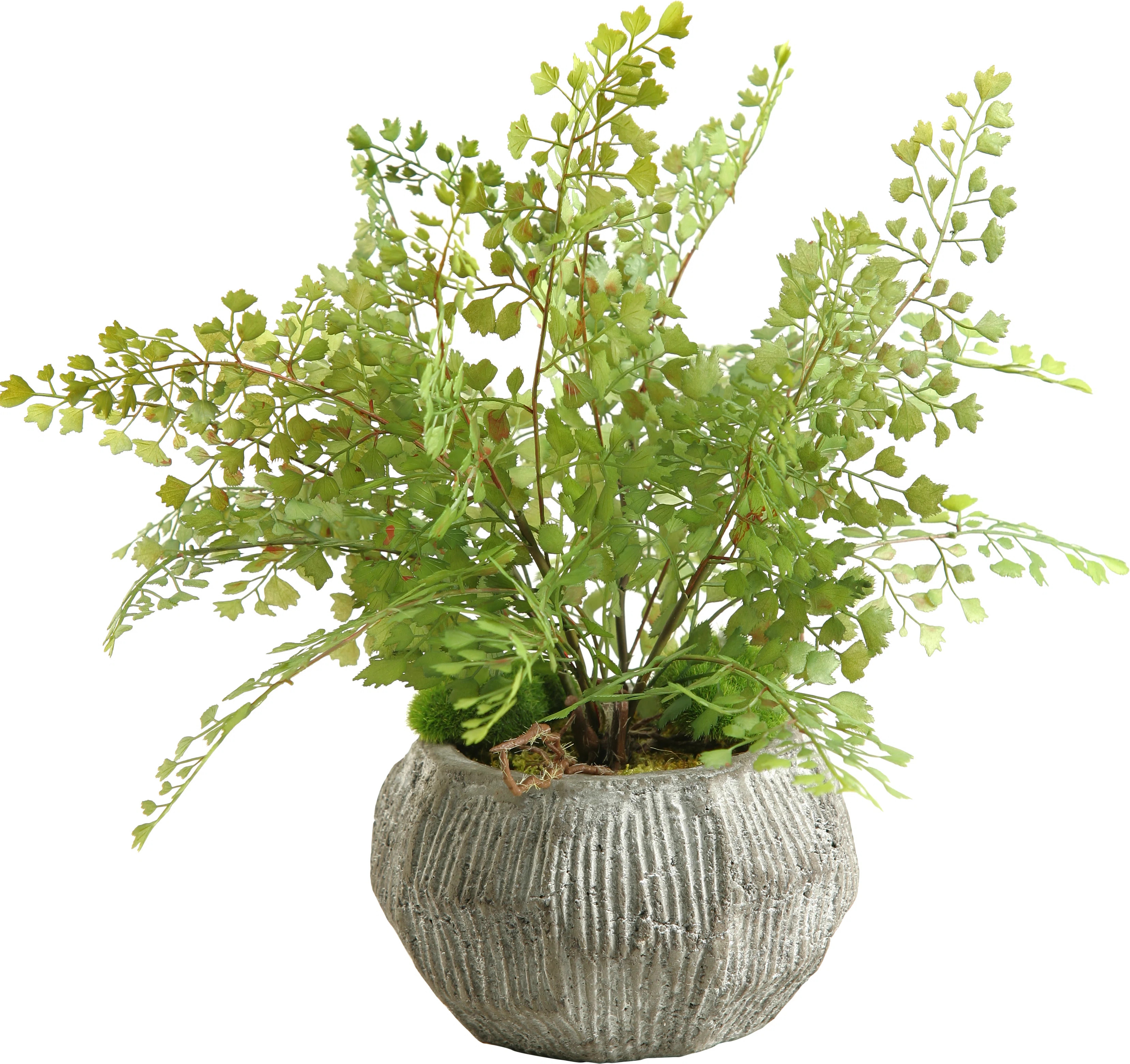 Yoshida Artificial Fern Plant in Planter | Wayfair North America
