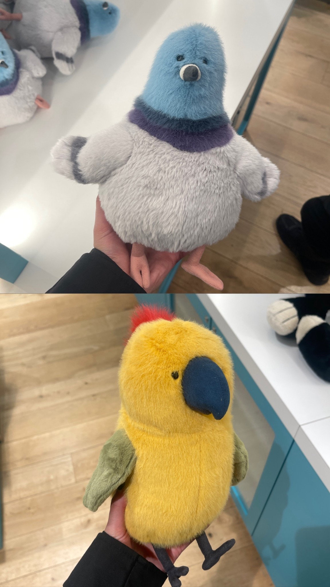 Pigeon or parrot jelly cat??

#LTKspring #LTKhome #LTKuk