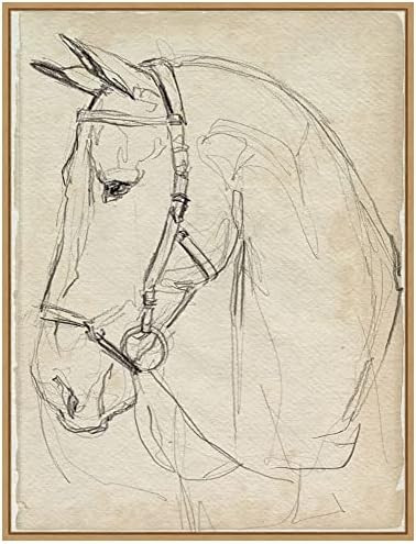 Amanti Art Framed Canvas Wall Art 30x23 Horse in Bridle Sketch II by Jennifer Paxton Parker, Fram... | Amazon (US)