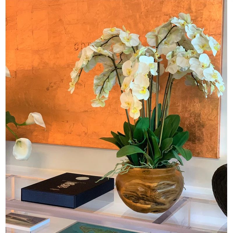 Silk Orchid Arrangement in Planter | Wayfair North America