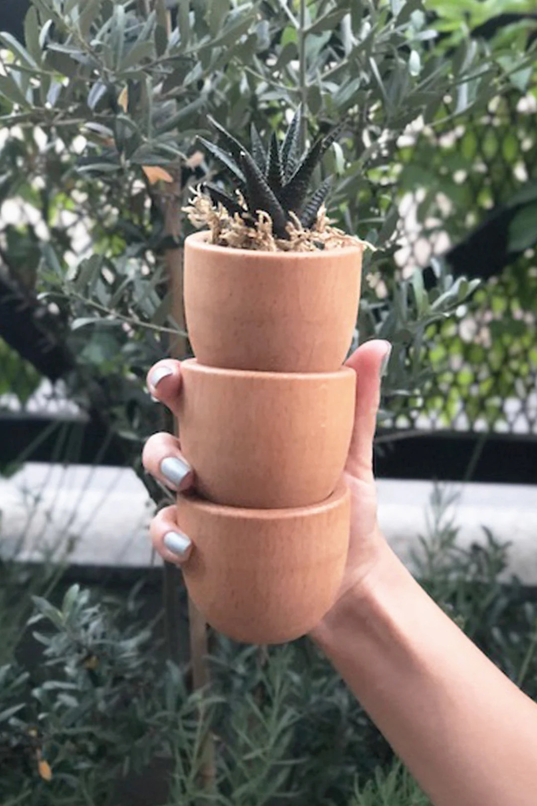 3 Pcs Solid Wood Mini Pot for Succulent and Cactus - Etsy | Etsy (US)