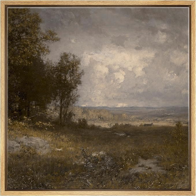 SIGNFORD Framed Canvas Print Wall Art Tranquil Landscape Gentle Nature Scene Nature Wilderness Il... | Amazon (US)