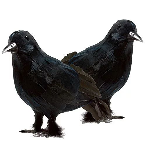 Prextex Halloween Decoration Plastic Birds Black Feathered Crows Halloween Prop Decor - 2 Pack - ... | Walmart (US)