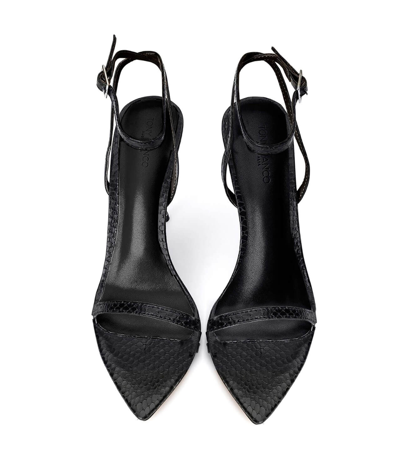Myra Black Snake Heels | Tony Bianco US
