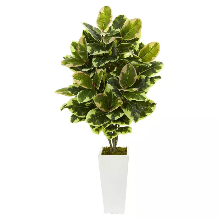 4ft Artificial Variegated Rubber Leaf Plant In White Tower Vase - Nearly Natural | Target