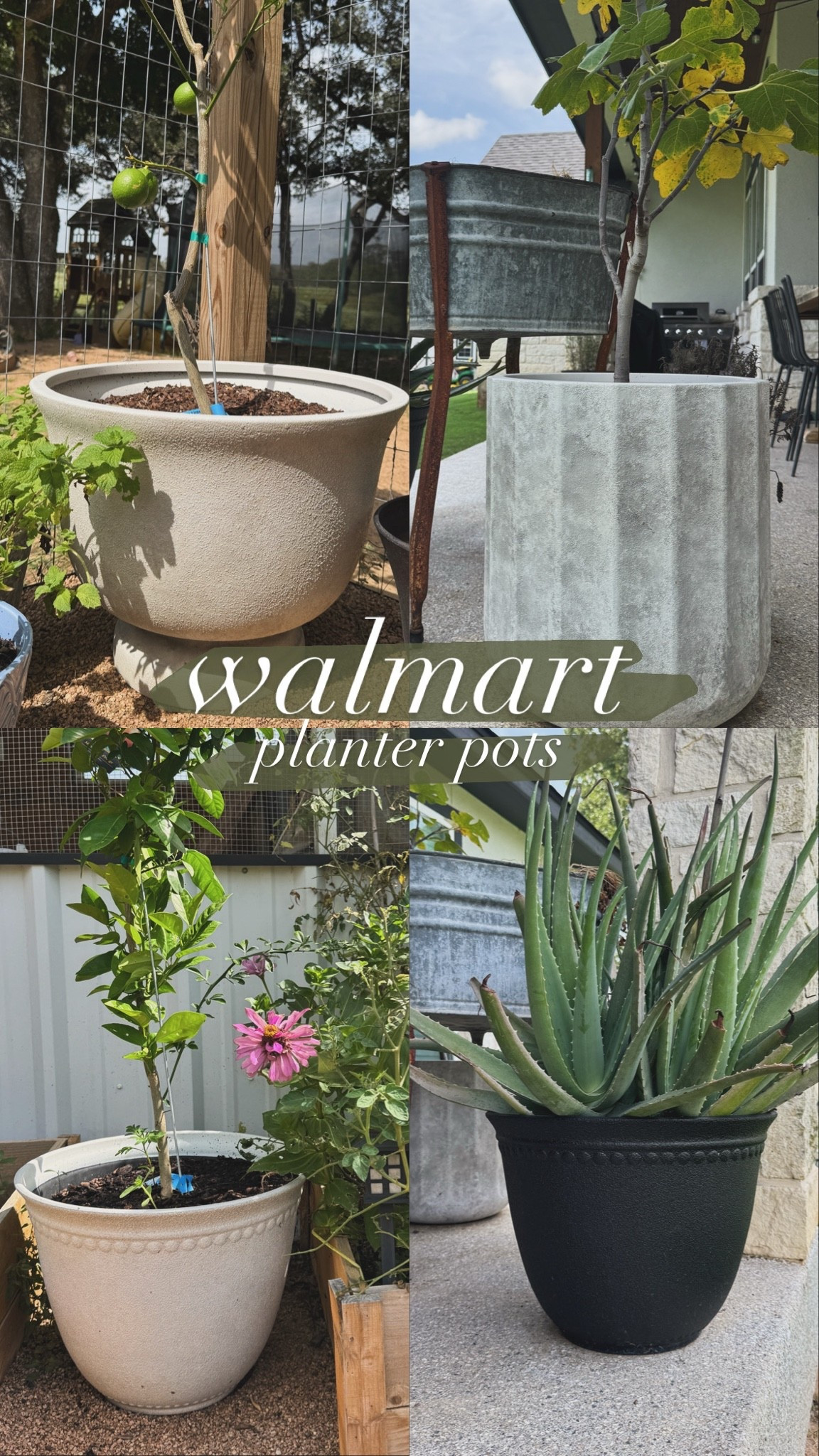 A round up of my favorite affordable planters from walmart. They look expensive and so chic without the price tag. Holds up well to our Texas heat and sun!

#LTKHome #LTKSaleAlert #LTKSeasonal