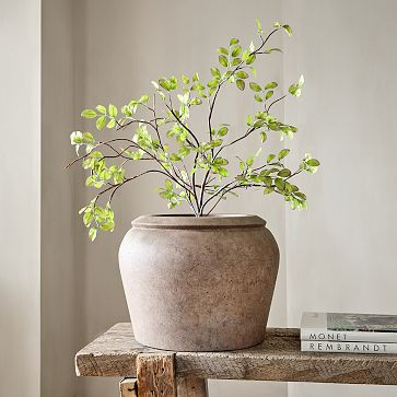 Faux Potted Bursera Plant | West Elm (US)