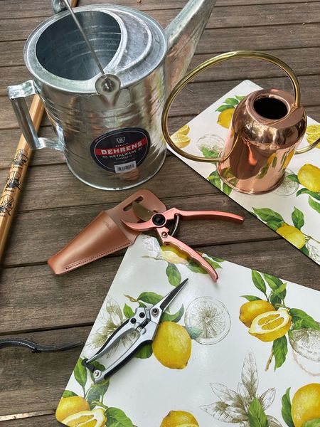 Summer is officially here and we are loving spending time in our backyard. Here are our go to favorite gardening tools from Garrett Wade from watering cans, weed pullers, pruners and more. 

#LTKhome #LTKFind