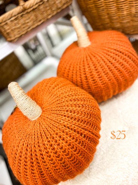 Knit Pumpkin with jude stew for only $25 at @target!! Fall decor is starting selling now and these beauties will sell out quickly. They’re about 12 in so pretty big! 

#LTKunder50 #LTKSeasonal #LTKhome