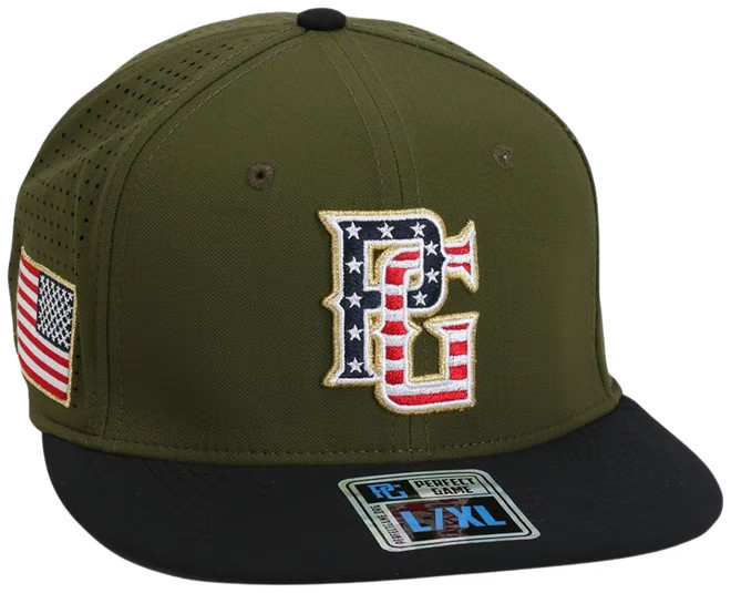 Perfect Game Hoffman Patriot Cap | Dick's Sporting Goods