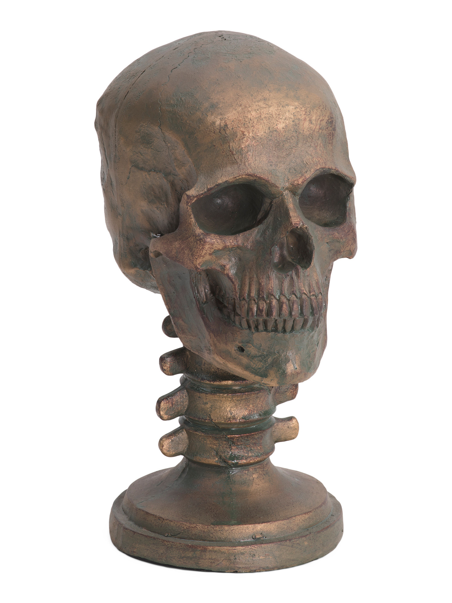11.5in Resin Skull Head | TJ Maxx