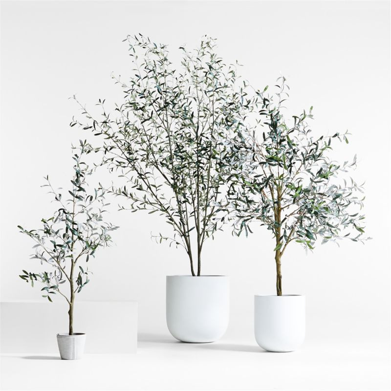 Potted Faux Olive Trees | Crate & Barrel | Crate & Barrel
