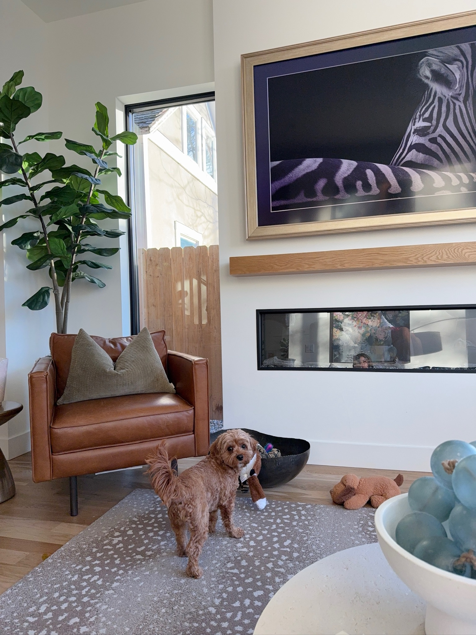 Dog toy bowl home decor home design and interior home decor



#LTKHome #LTKStyleTip #LTKSeasonal