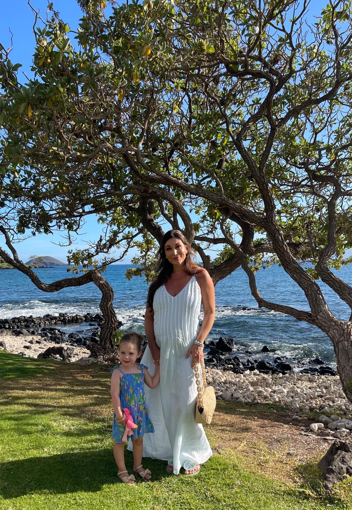 Non maternity linen Dissh dress 