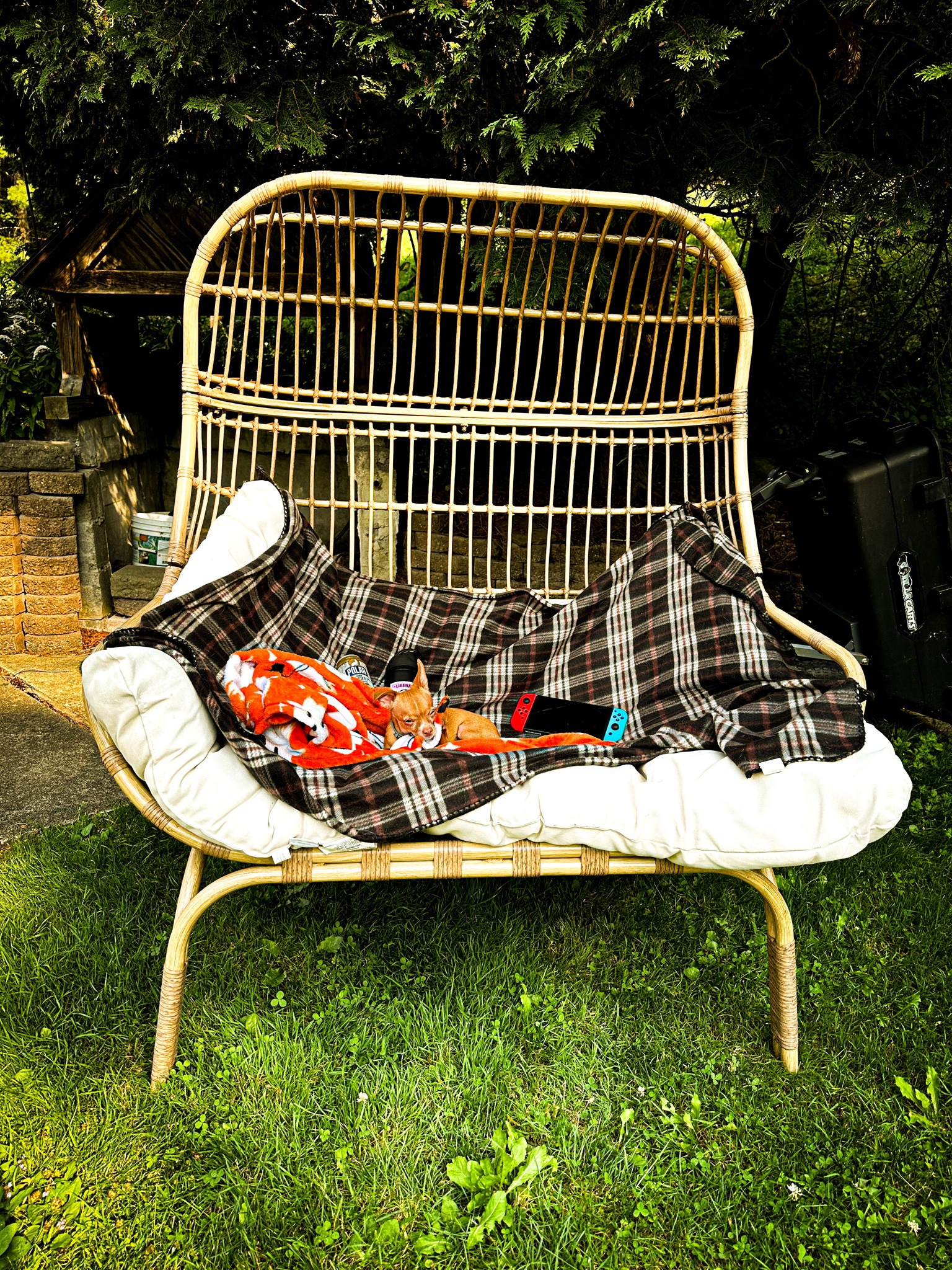 I love this outdoor chair from Target! It’s the perfect spot to sit outside and relax. Wicker egg chair.

#LTKHome #LTKSeasonal