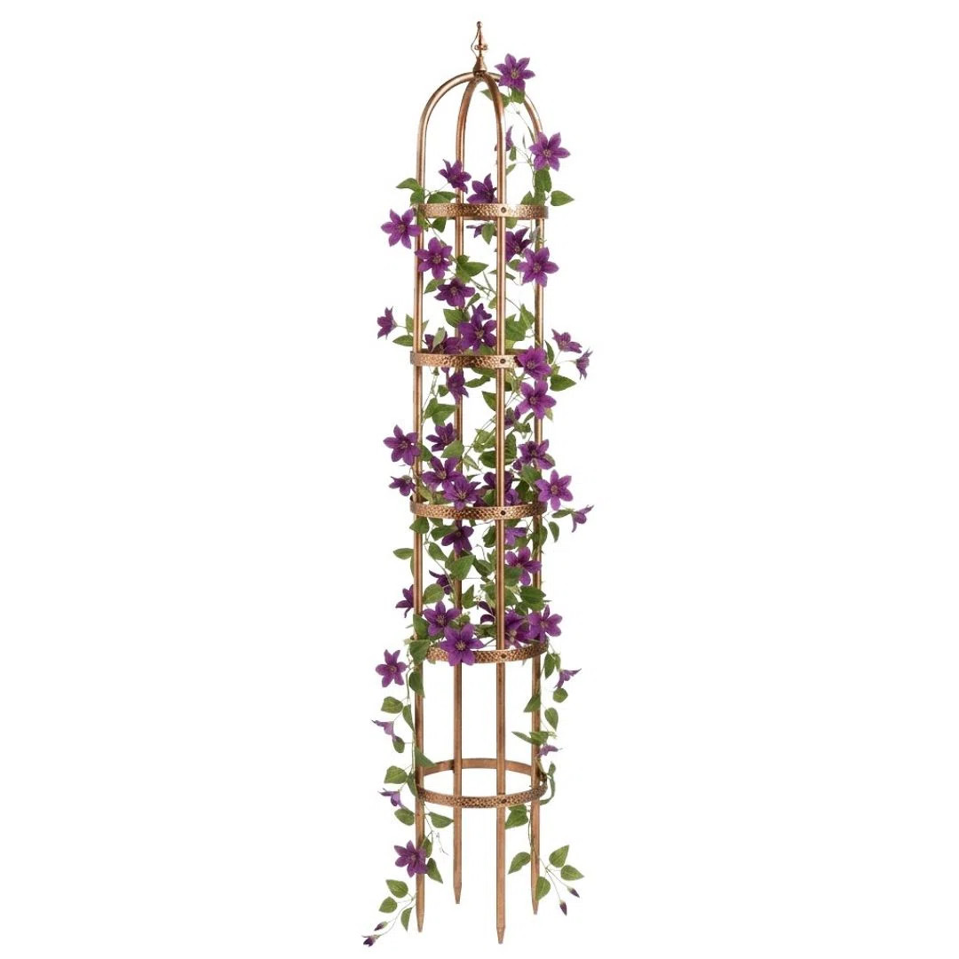 Kendra Steel Obelisk Gardening Trellis | Wayfair North America