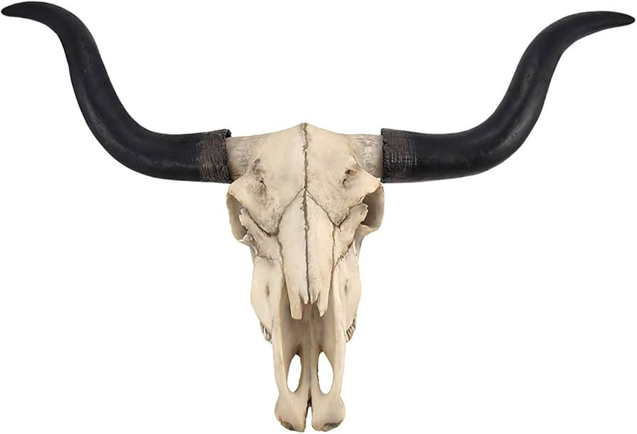 Long Horn Cow Skull Wall Hanging Longhorn Steer | Amazon (US)