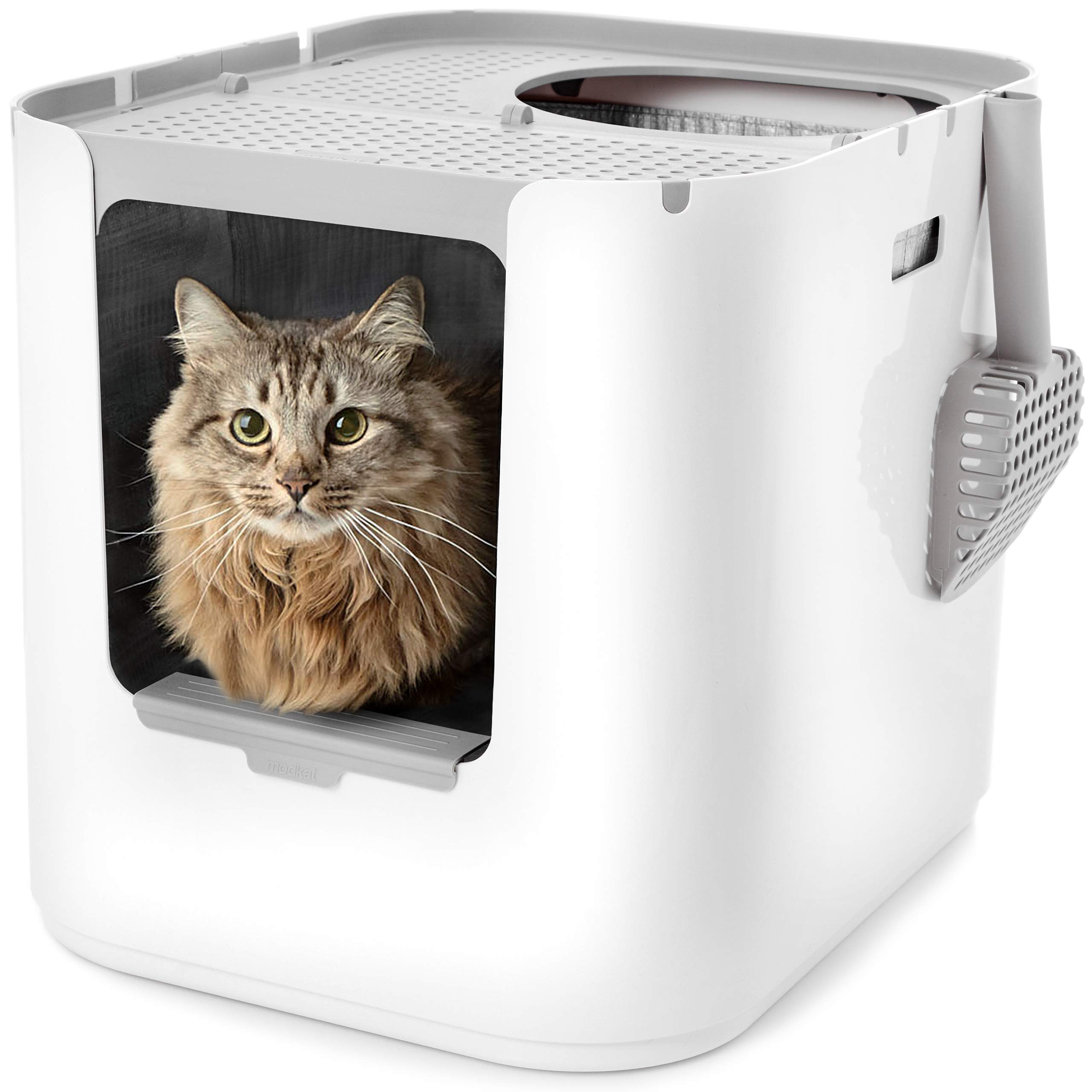 Modkat® XL Litter Box, Top or Front-Entry Configurable, Full Height Seamless Base, Reusable Litt... | Amazon (US)