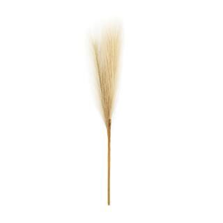 Assorted Pampas Grass Pick by Ashland® | Michaels Stores