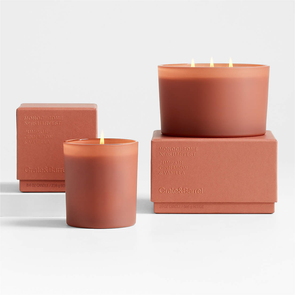 Monochrome No. 8 Harvest 1-Wick Scented Candle - Pumpkin, Cinnamon, Vanilla + Reviews | Crate & B... | Crate & Barrel