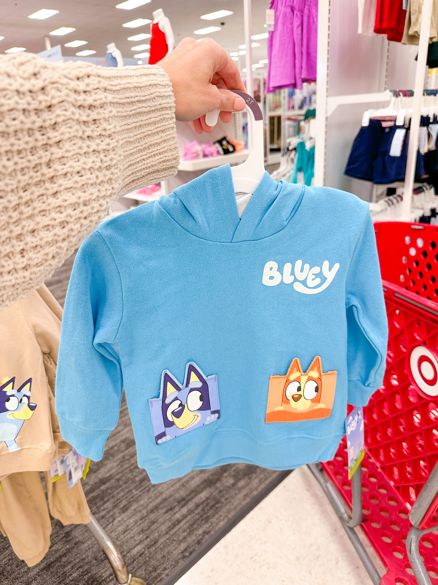 Toddler Bluey and Bingo Hooded Pocket Sweatshirt at Targett

#LTKStyleTip #LTKKids