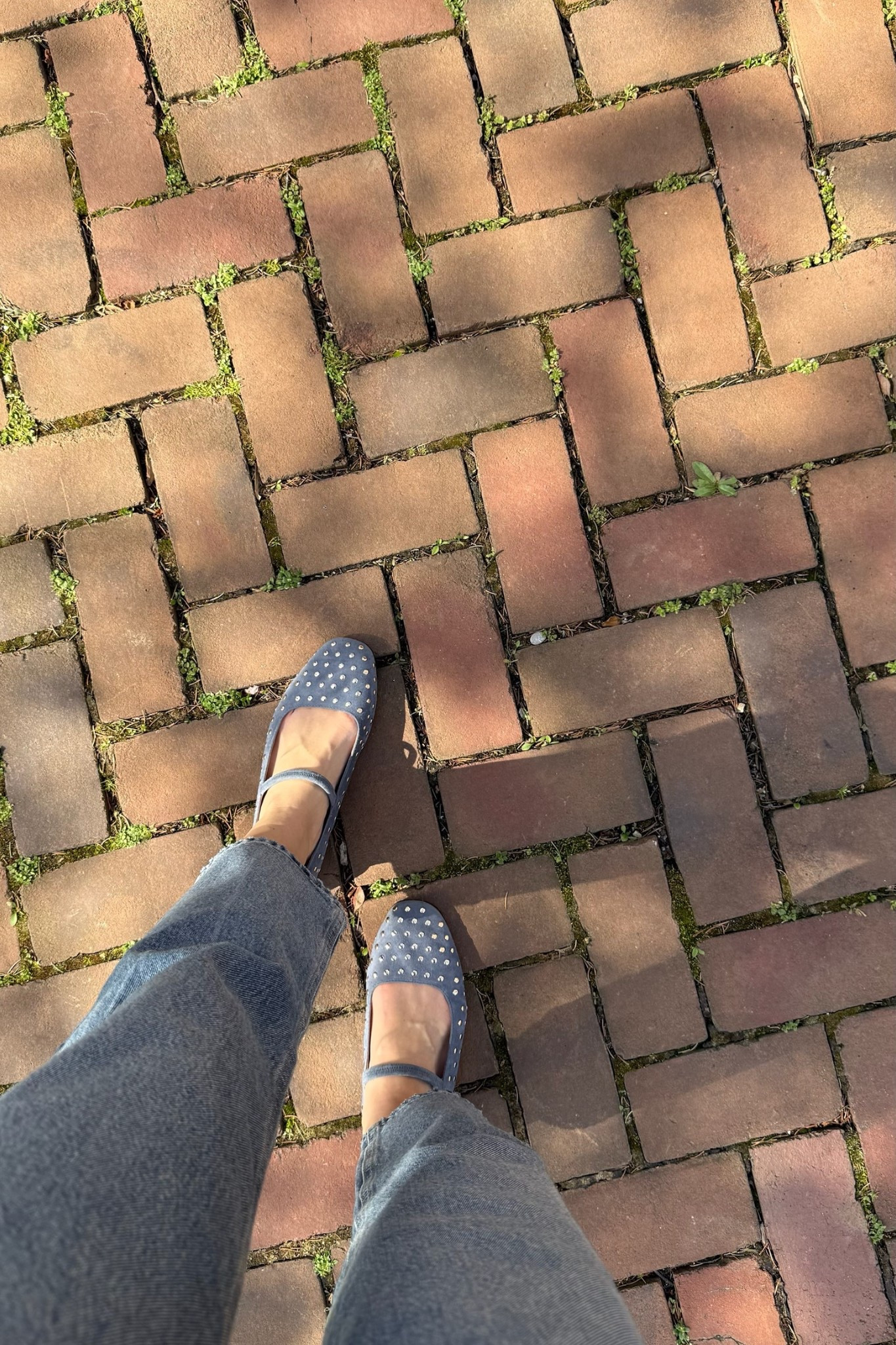 I love these Madewell flats. They make every outfit cuter and are so comfortable!

#LTKfashion #madewell #springshoes #balletflats