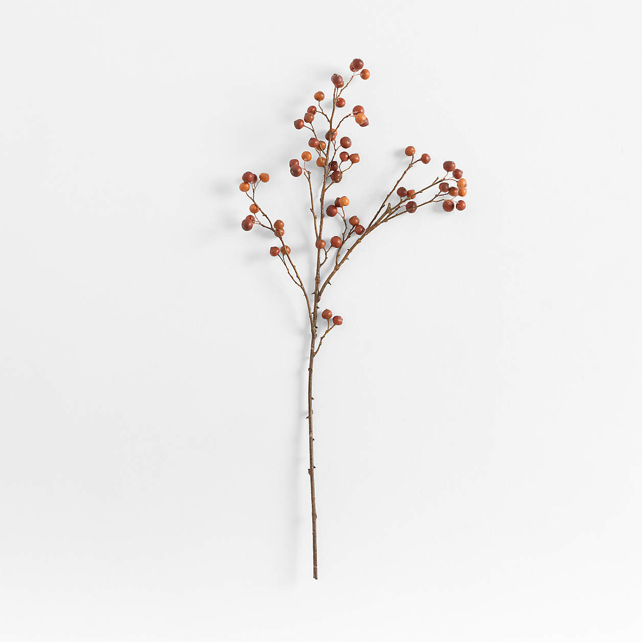 Faux Rose Hip Spray 34" by Abigail Ahern + Reviews | Crate & Barrel | Crate & Barrel