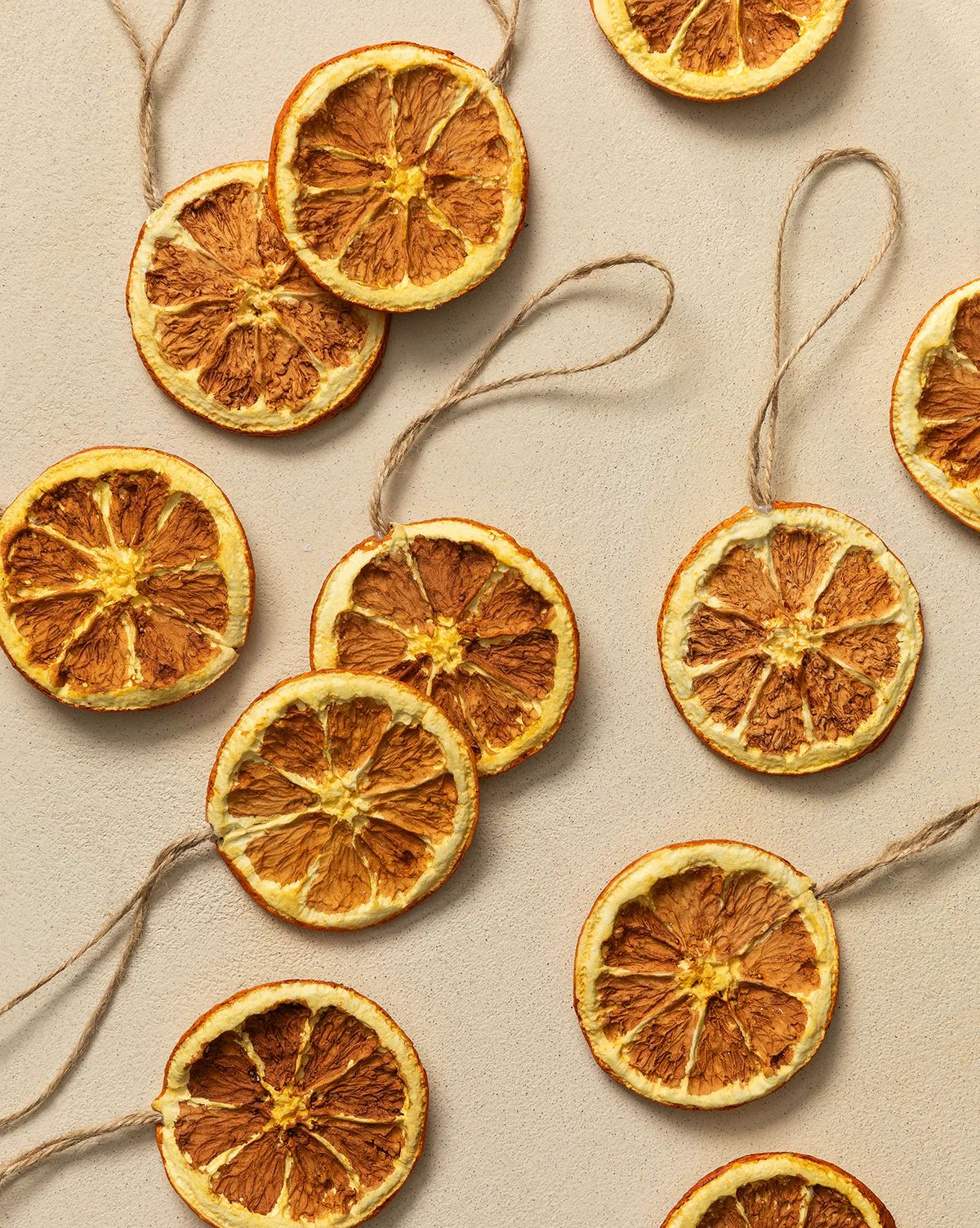 Dried & Boxed Orange Slices (Set of 12) | McGee & Co. (US)