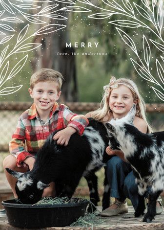 Holiday Cards | Minted