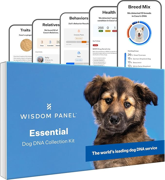 Wisdom Health Panel Essential Dog DNA Kit: Most Accurate Test for 365+ Breeds, 30 Genetic Health ... | Amazon (US)
