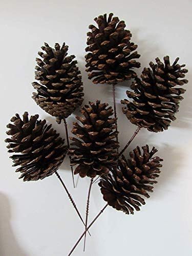dobar Extra Large Natural Pinecones with Floral Pick - 4 Inch Pinecones with 5" Brown Wired Pick ... | Amazon (US)
