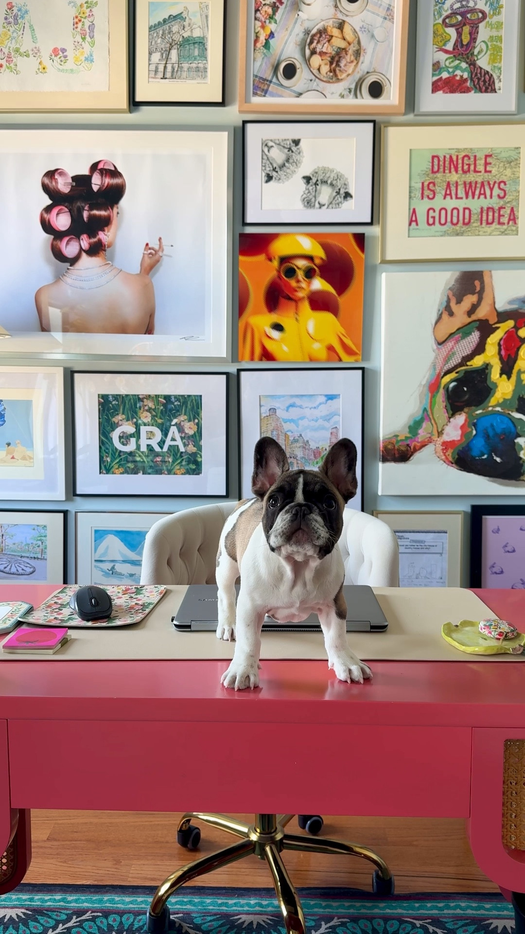 @BarkBox is officially declaring dogs as co-owners of the brand! They’re allowing real dogs to shape product ideas, treats, toys & even charitable giving. Bark donated $800K to shelters and rescues last year and can’t wait to continue that commitment! 
#ad #BarkPartner #BarkCoOwned #ShopDog 

#LTKPets