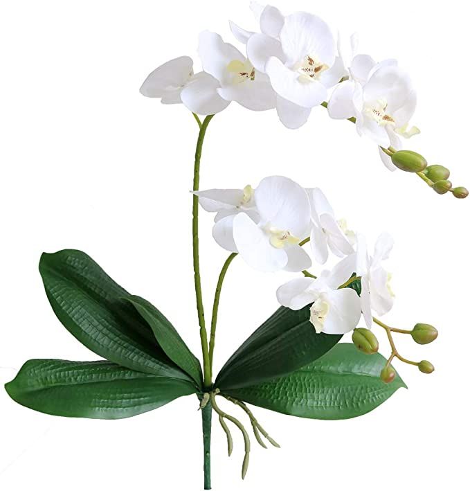 Elyjhyy Artificial Phaleanopsis Flowers Fake Orchids Leaves Branches for Home Bonsai Garden Decor... | Amazon (US)