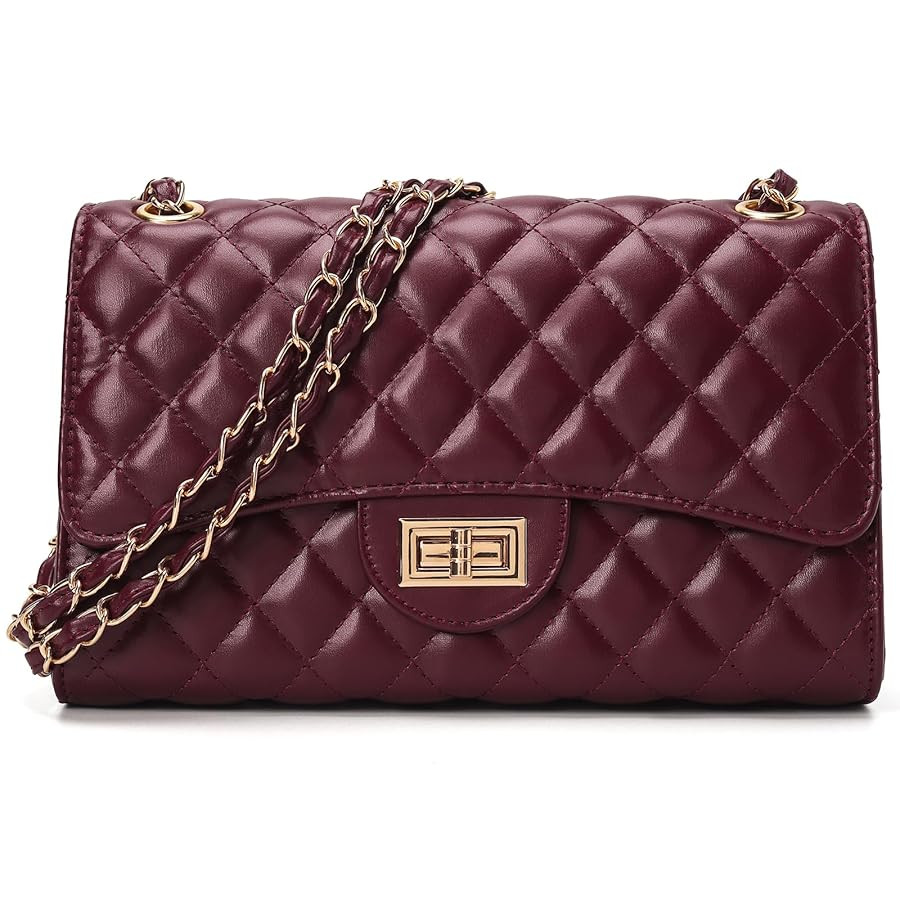 Quilted Leather Crossbody Bags for Women Trendy Ladies Shoulder Purse Satchel HandBag with Chain ... | Amazon (US)