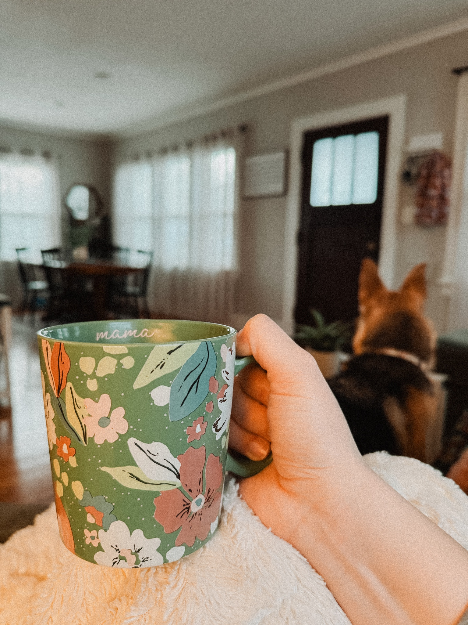Mama mug FTW! It's so cute and springy, which is making me ache for warmer weather to finally come to the Midwest! Target mugs are my go-to (and I have a million of them, just ask my husband! 😂)

#target #targetfinds #cups #coffeecup #mug #coffeemug #targetcup #targetmug #kitchen #kitchendecor #kitchenfind #spring

#LTKSeasonal #LTKfindsunder50 #LTKhome