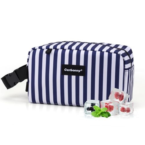 Freezable Lunch Bag,Freezable Snack Bag,Mini Cooler Bag for Travel/Work/School,Small Insulated Bag,Small Cooler Lunch Box with Ice Packs,Insulated Snack Bag,Freezable Snack Box with Handle Buckle | Amazon (US)