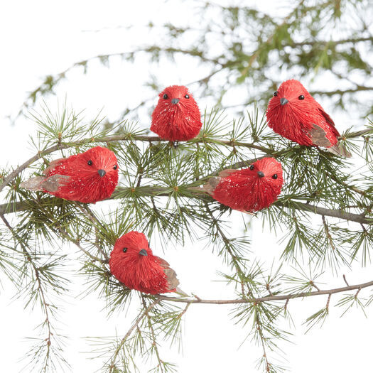 Bird Clip Ornaments 5 Pack by World Market | World Market
