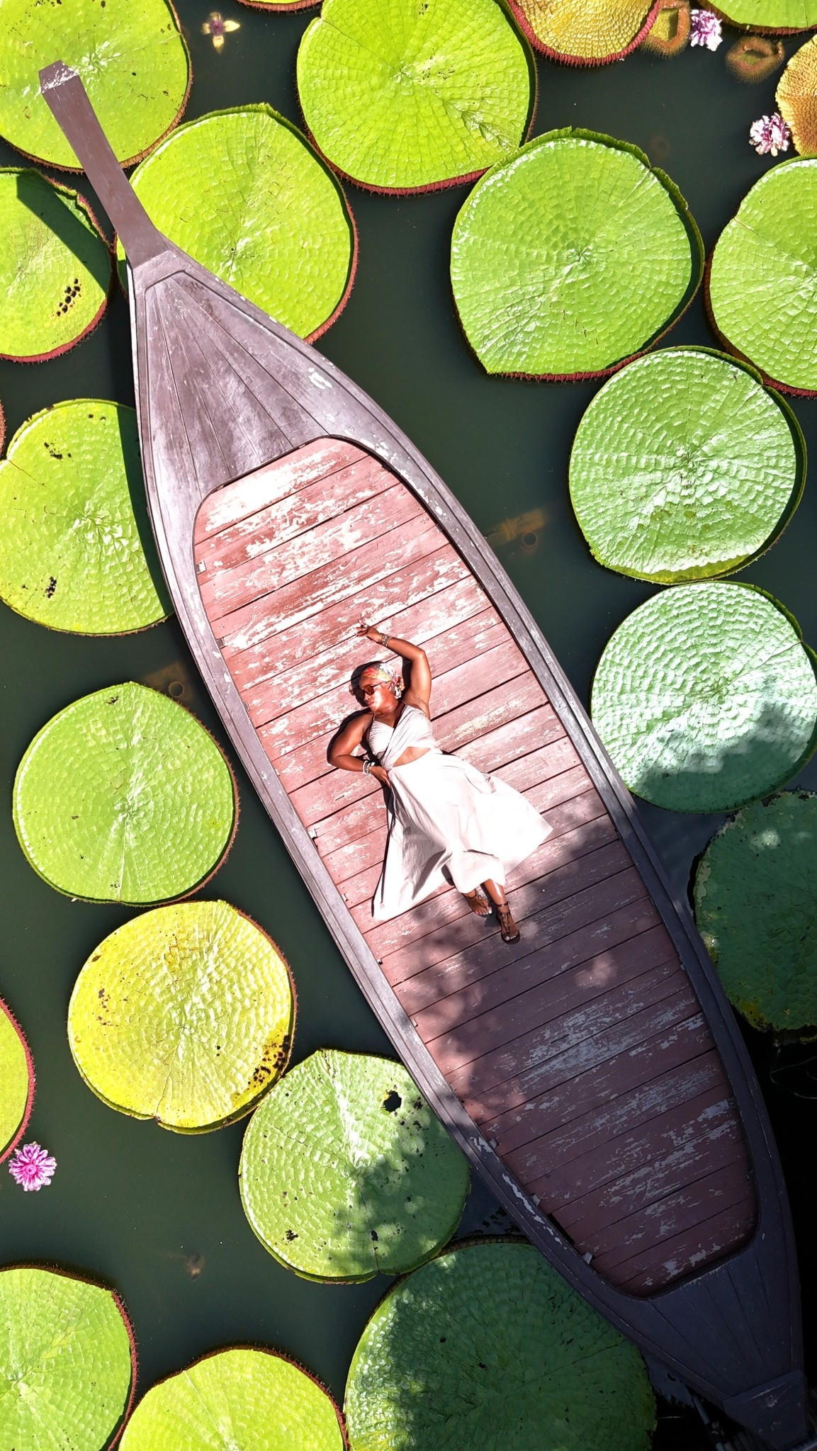 For sizing reference: I'm 5'2 | 150lbs | ftts | wearing a medium

Disclaimer: some items may be limited availability 😫 but tagging a few similar pieces and linking what’s available! 🫶🏽


#outfitinspo #flyageless  #silverhair #pixiecut #shorthairstyle #midlife #fashionover40 #stylereel #LTKStyle #ootd #outfitcheck #outfitdetail #fitcheck #fashionover40 #casualchic #fashionreelcreator #silverhair #whattowearnow #greyhair #streetsyle #outiftinspo #casualchicstyle #LTKParty #LTKFashionFinds

#LTKOver40 #LTKTravel #LTKStyleTip