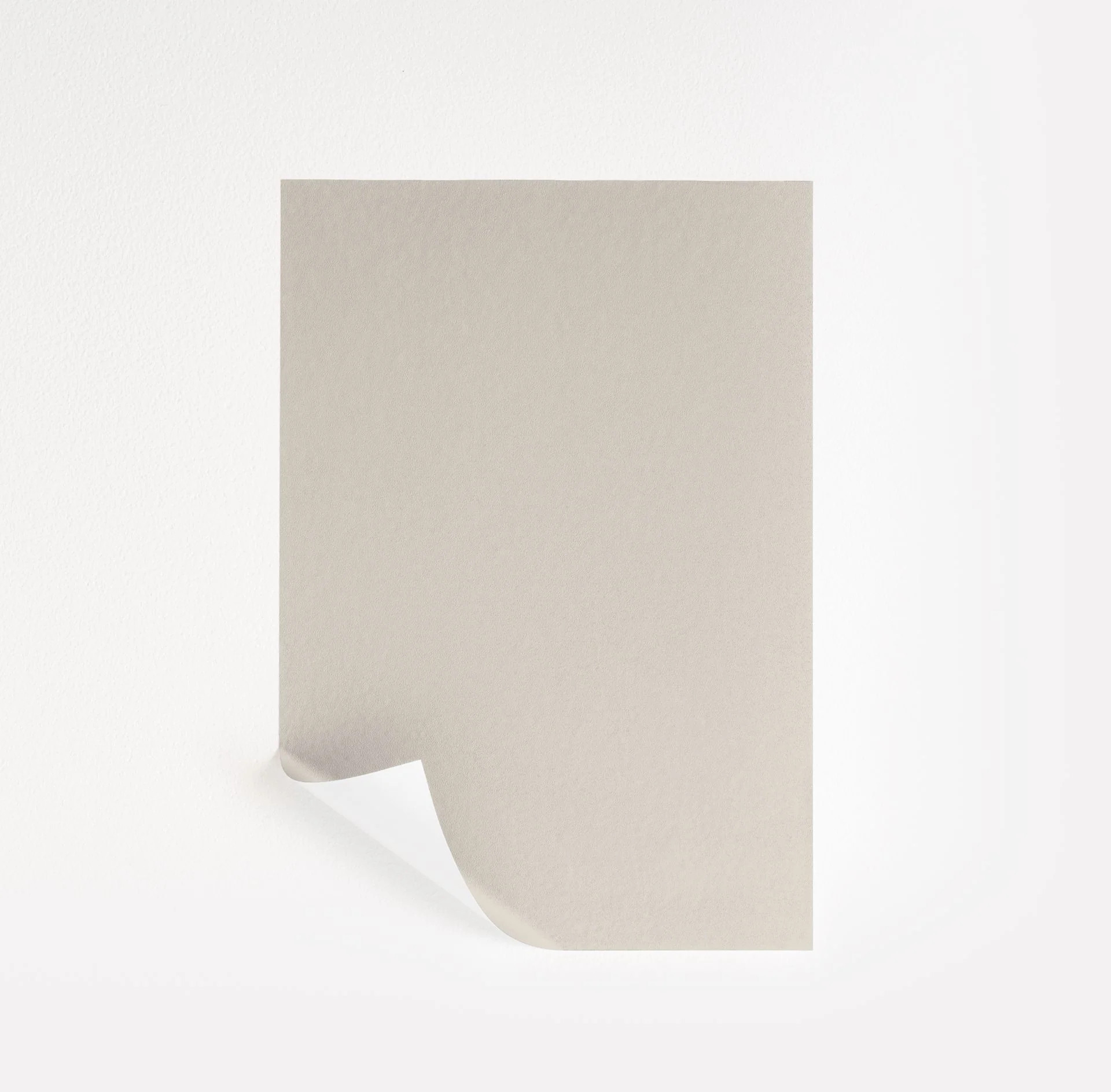 Egret White Paint Sample by Sherwin-Williams (7570) | Peel & Stick Paint Sample | Samplize