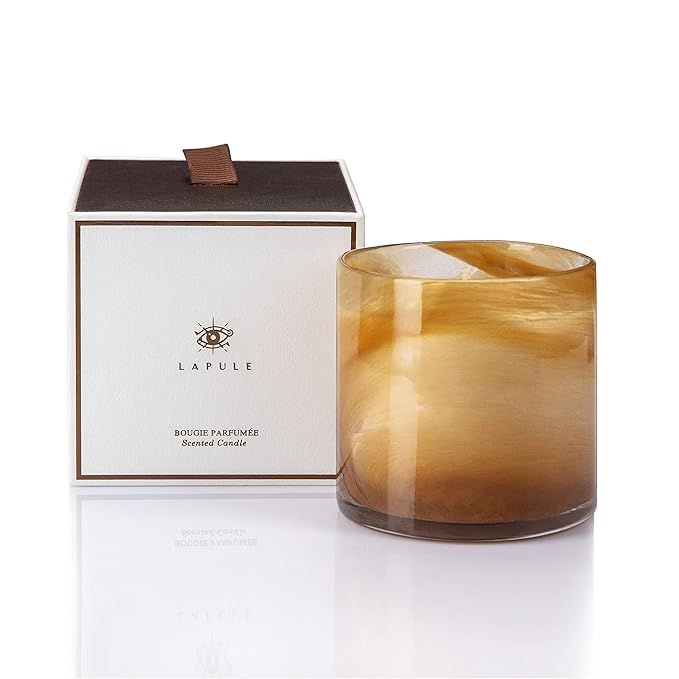 Lapule Luxury Wood Scented Candle in Handblown Decorative Glass Jar | Long Burning Aromatherapy S... | Amazon (US)