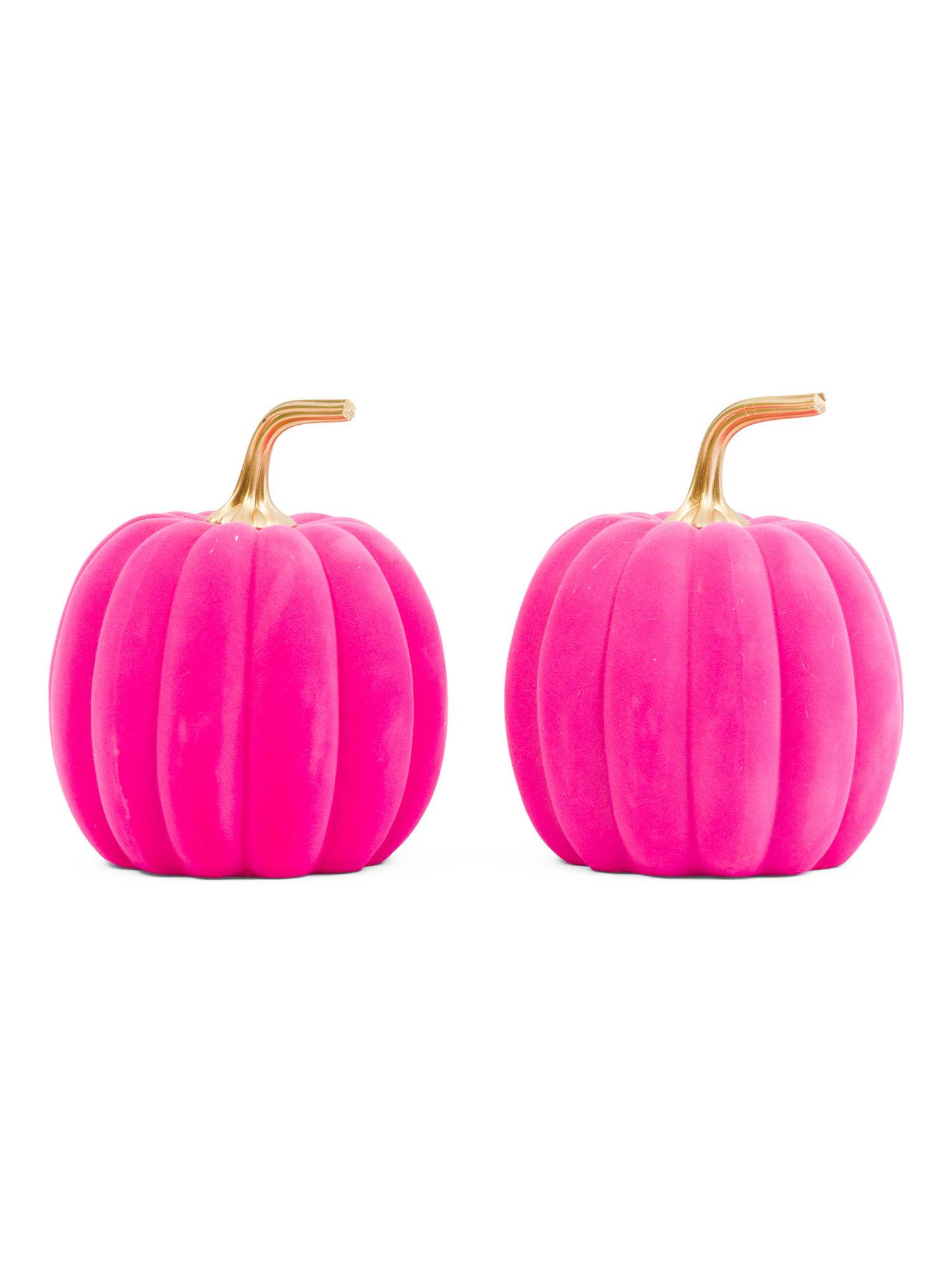 Set Of 2 Flocked Pumpkins | TJ Maxx