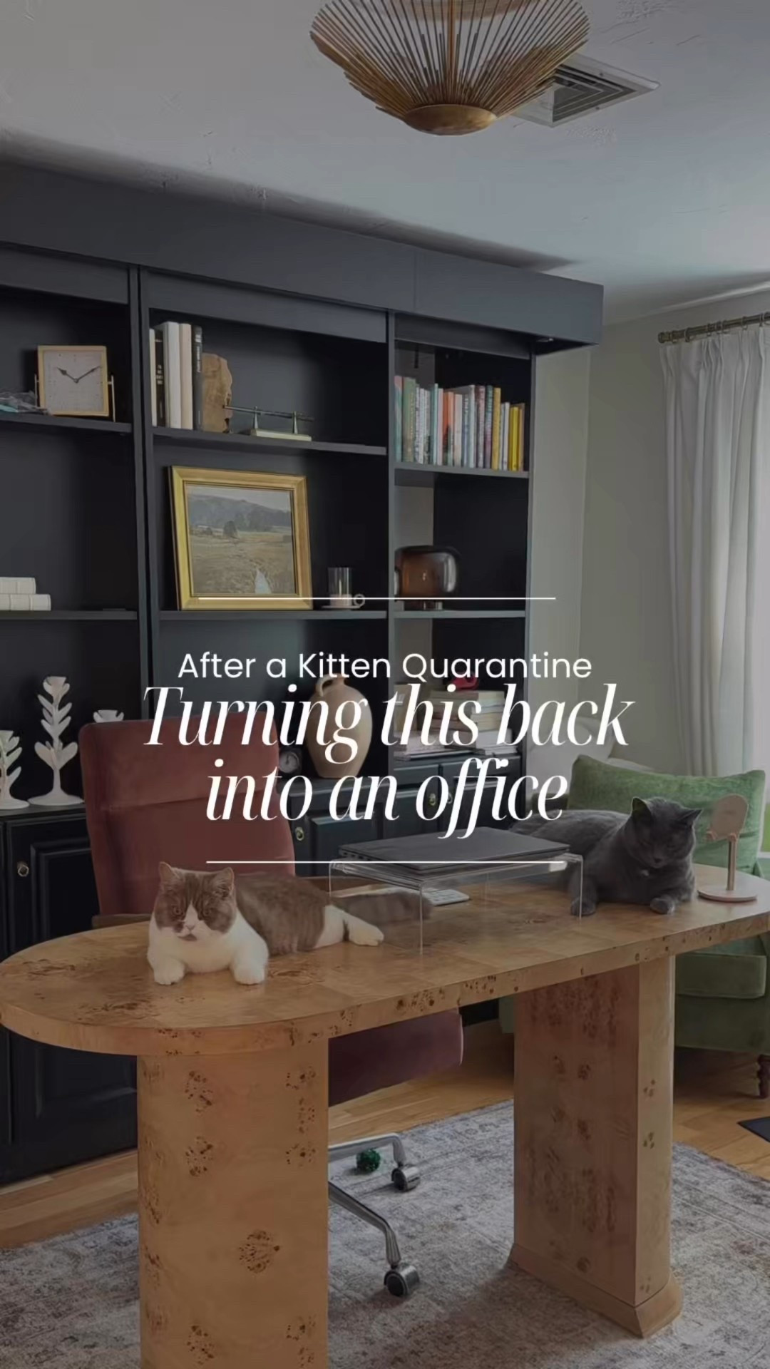 Cozy office reset! We had the Murphy bed pulled down for weeks while our new kitten settled in, but now that he’s part of the crew, I’m putting our space back together. Linking the exact pieces I use to make this room work double duty!
#murphybed #guestroomreset #ltkhome #homewithemfinds #cozyhomeoffice

Home office, desk, desk chair, area rug, neutral rug, home decor, shelf decor, bedding, duvet, throw pillow, lumbar pillow

#LTKFindsUnder100 #LTKHome