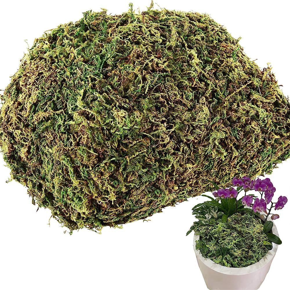 4OZ Fake Moss for Potted Plants Artificial Moss for Fake Plants Faux Moss for Planters Decorative... | Amazon (US)