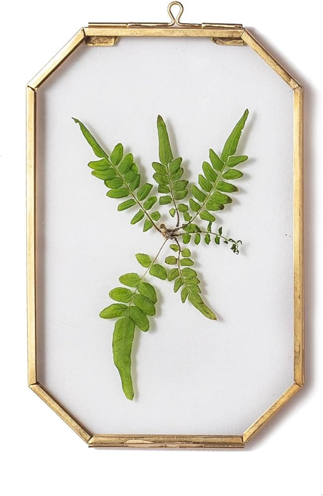 NCYP 4" x 6" Small Glass Floating Frame with Chain for Artwork Photo, Picture, Pressed Dried Flow... | Amazon (US)