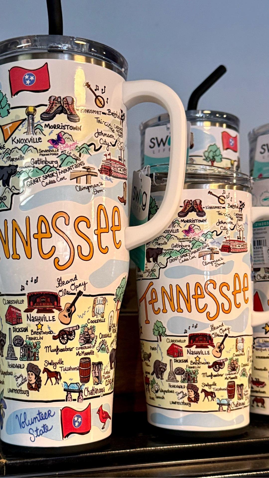 I loved these Tennessee tumblers I saw last week while I was in TN🤠

They have all 50 states in both sizes!!!!!

#LTKHome #LTKTravel #LTKFindsUnder50